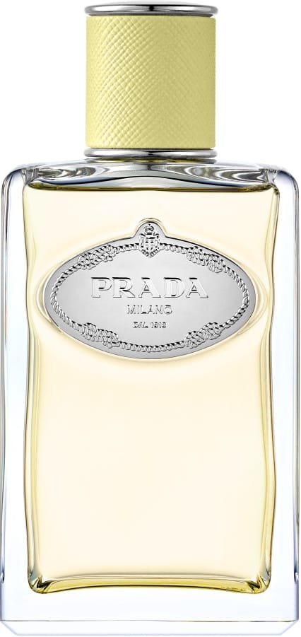 Prada Infusion de Gingembre