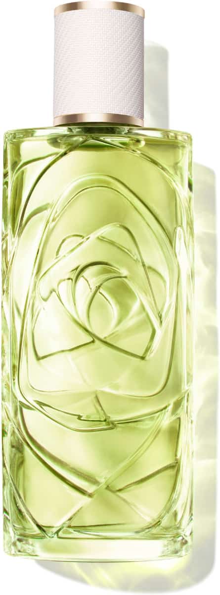 Vapo 100 ml